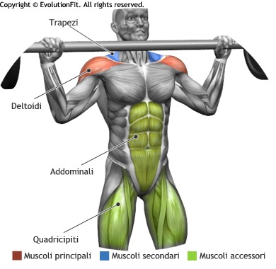 Scheda per allenamento massa muscolare